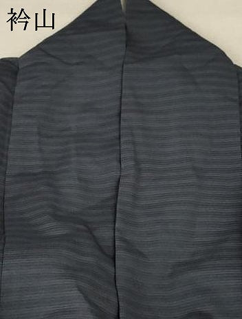 平和屋着物＊夏物 訪問着 絽 枝葉文 金銀彩 正絹 逸品 AABA9295jd