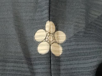 平和屋着物＊夏物 訪問着 絽 枝葉文 金銀彩 正絹 逸品 AABA9295jd