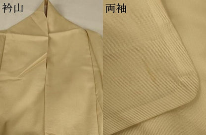 平和屋着物＊夏物 訪問着 絽 唐子 洗える着物 AABA9309jd