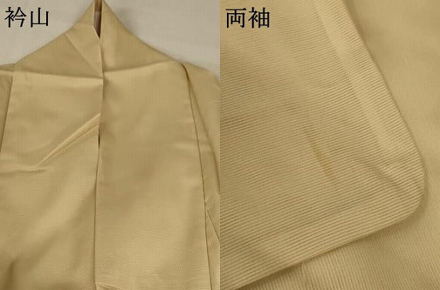 平和屋着物＊夏物 訪問着 絽 唐子 洗える着物 AABA9309jd