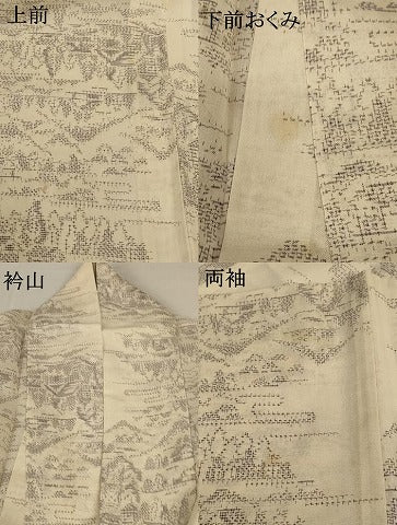 平和屋着物＊夏物 紗紬 風景文 正絹 逸品 AABA9320jd