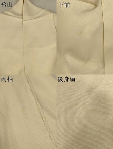 平和屋着物＊夏物 訪問着 絽 花蝶文 正絹 逸品 AABA9323jd
