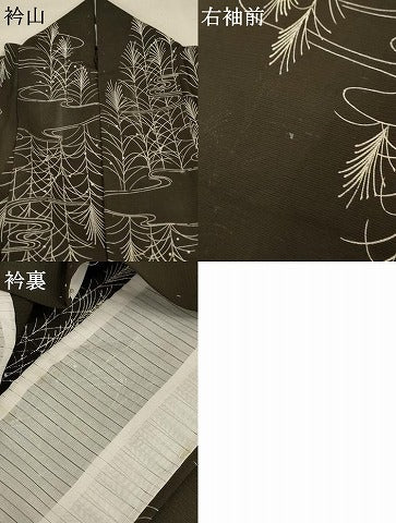 平和屋着物＊夏物 小紋 絽 流水草葉文 正絹 逸品 AABA9324jd