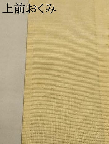 平和屋着物＊夏物 訪問着 絽 樹木 正絹 逸品 AABA9335jd
