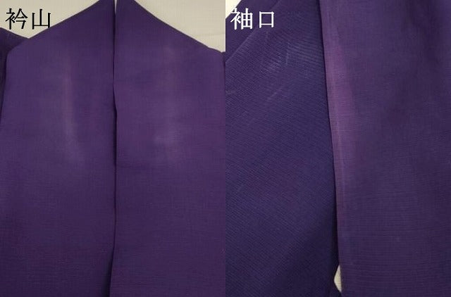 平和屋着物＊夏物 訪問着 絽 舞鳥草文 正絹 逸品 AABA9345jd