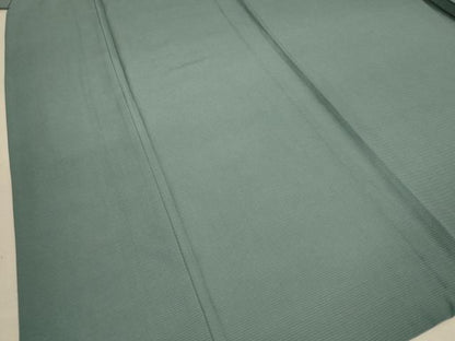 平和屋着物＊夏物 色無地 絽 青鈍色 正絹 逸品 AABA9346jd