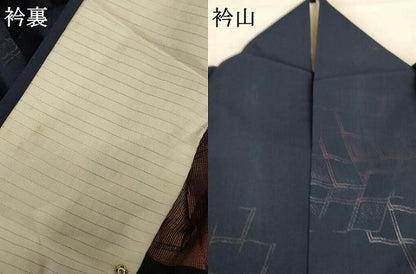 平和屋着物＊夏物 小紋 紗 幾何学文 正絹 逸品 AABA9403jd