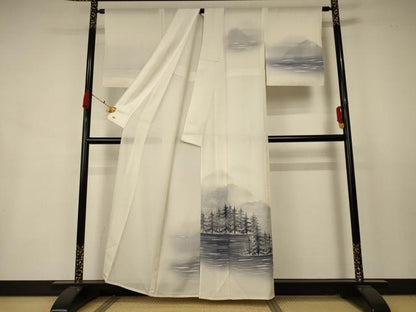 平和屋着物＊夏物 訪問着 絽 手描き 風景文 三越扱い 正絹 逸品 AABA9407jd