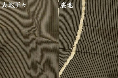 平和屋着物＊夏物 男性 馬乗り袴 縞 正絹 逸品 AABA9421jd