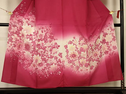 平和屋着物＊夏物 訪問着 絽 花づくし 暈し染め 正絹 逸品 AABA9424jd