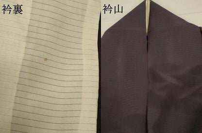 平和屋着物＊夏物 色無地 絽 紫黒色 正絹 逸品 AABA9426jd