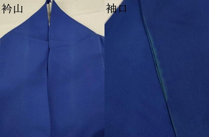 平和屋着物＊夏物 訪問着 絽 風景草花文 正絹 逸品 AABA9430jd