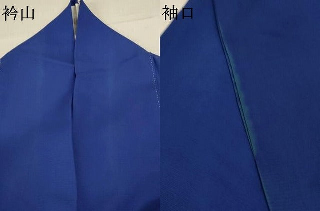 平和屋着物＊夏物 訪問着 絽 風景草花文 正絹 逸品 AABA9430jd