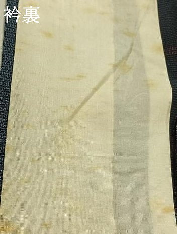 平和屋着物▽本塩沢 単衣 180亀甲 縞 正絹 逸品 AABA9581jh