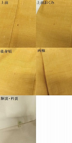 平和屋着物●上質な紬　色無地　柑子色　正絹　逸品　AABB0246zg