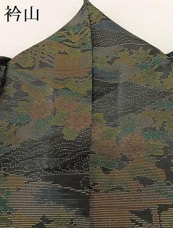 平和屋着物●本場大島紬　風景草花文　黒地　正絹　逸品　AABB0355zg