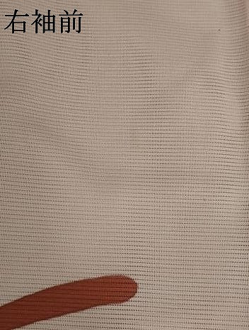 平和屋着物＊夏物 訪問着 絽 蔦の葉文様 洗える着物 AABB0500st