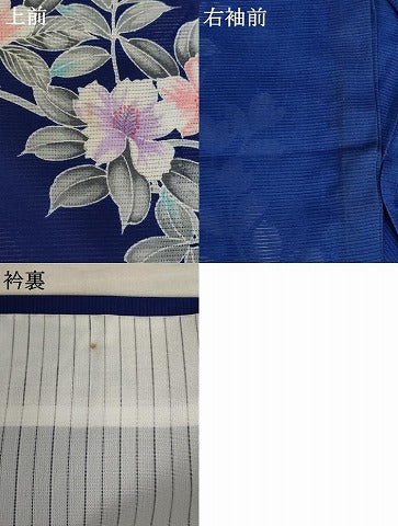 平和屋着物＊夏物 訪問着 絽 枝花文 洗える着物 AABB0504st