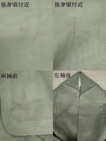 平和屋着物＊夏物 訪問着 絽 舞花文 楽器 洗える着物 AABB0506st