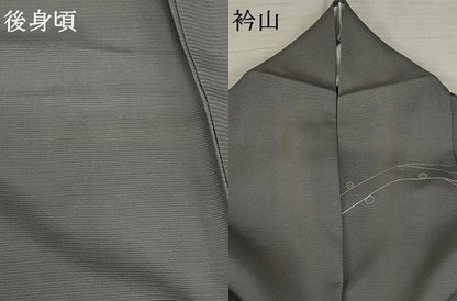 平和屋着物＊夏物 訪問着 絽 枝花文 正絹 逸品 AABB0549st