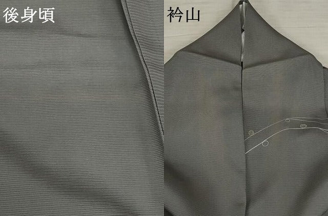 平和屋着物＊夏物 訪問着 絽 枝花文 正絹 逸品 AABB0549st