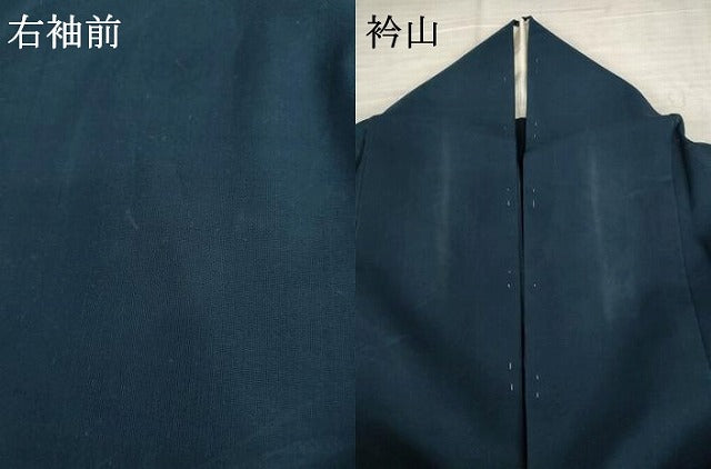平和屋着物＊夏物 色無地 紗 草花文 褐返色 正絹 逸品 AABB0564st