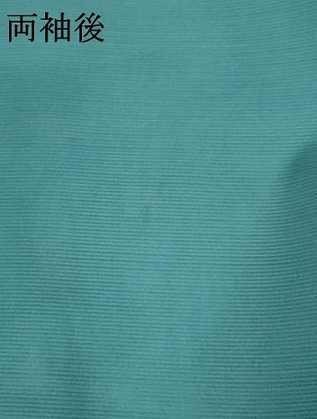 平和屋着物＊夏物 色無地 絽 青碧色 洗える着物 AABB0608st