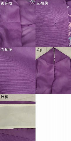平和屋着物＊夏物 訪問着 芝花文 暈し染め 洗える着物 AABB0616st
