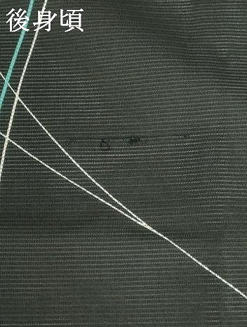 平和屋着物＊夏物 小紋 絽 草花文 黒地 洗える着物 AABB0634st