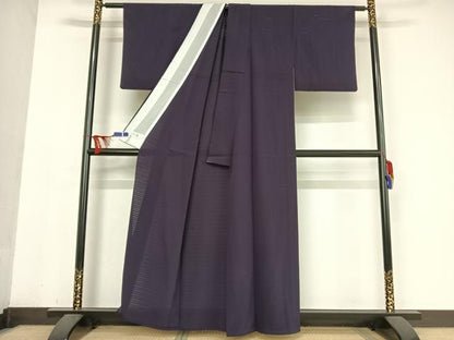 平和屋着物＊夏物 洗える最高級着物 ＜英＞はなぶさ謹製 色無地 絽縮緬 葡萄染色 たとう紙付き 洗える着物 AABB1309np