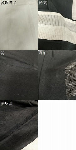 平和屋着物＊夏物 紗紬 訪問着 猫 黒地 正絹 逸品 AABB1338np