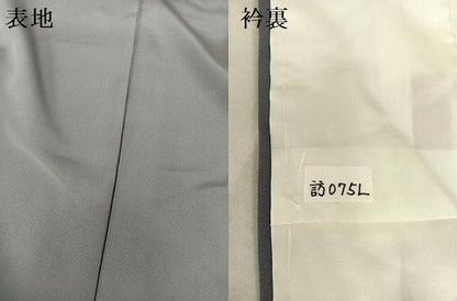 平和屋着物●訪問着 花蝶丸文 金彩 正絹 逸品 AABB1393np