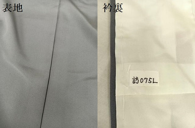 平和屋着物●訪問着 花蝶丸文 金彩 正絹 逸品 AABB1393np
