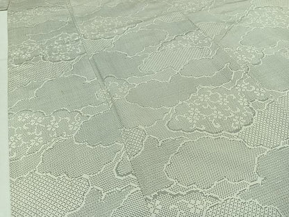 平和屋着物▽本場大島紬 白大島 単衣 120亀甲 雲取り花文 正絹 逸品 AABB1407jh