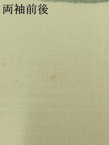 平和屋着物▽訪問着　単衣　紬地　手描き　草花文　正絹　逸品　AABB1421jh