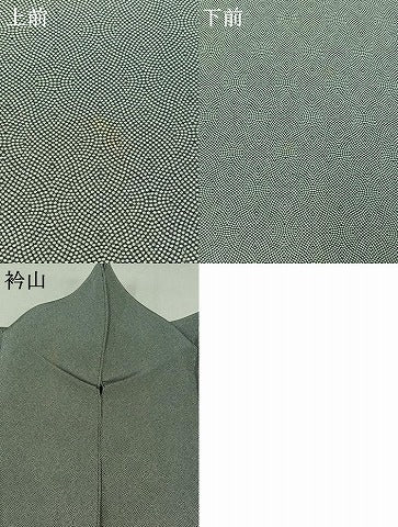 平和屋着物▽江戸小紋 単衣 立涌文様 正絹 逸品 AABB1436jh