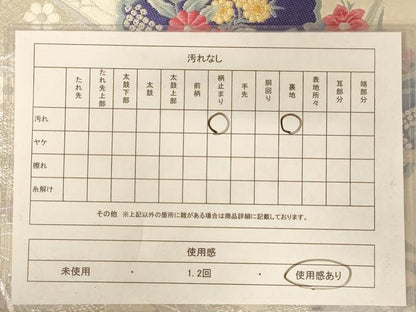 平和屋着物◎六通柄袋帯 唐織 慶長彩華 銀糸 正絹 逸品 AABB1601dt