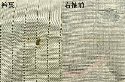 平和屋着物▽上質な紬　単衣　草花文　正絹　逸品　AABB2096fy