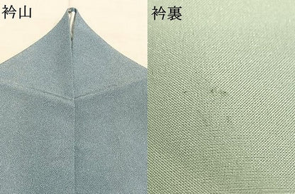 平和屋着物▽江戸小紋 単衣 鮫小紋柄 さんび謹製 洗える着物 AABB2115fy