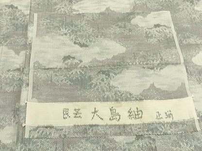 平和屋着物▽民芸　大島紬　単衣　雲取り風景文　反端付き　正絹　逸品　AABB2127fy