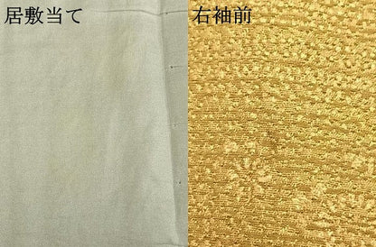 平和屋着物▽訪問着 単衣 草花文 金彩 正絹 逸品 AABB2235fy