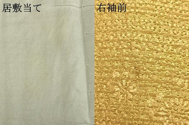 平和屋着物▽訪問着 単衣 草花文 金彩 正絹 逸品 AABB2235fy