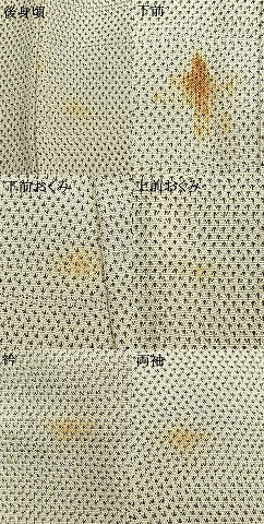 平和屋着物▽訪問着 単衣 お召地 草葉文 正絹 逸品 AABB2273fy