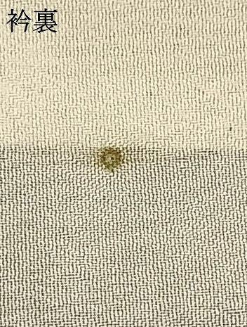 平和屋着物▽上質な紬 単衣 矢羽文 正絹 逸品 AABB2290fy