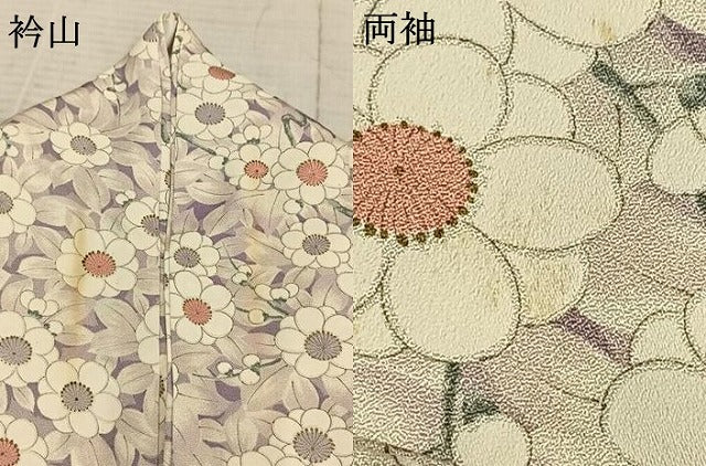 平和屋着物▽上質な小紋 単衣 辻が花 金彩 正絹 逸品 AABB2351fy