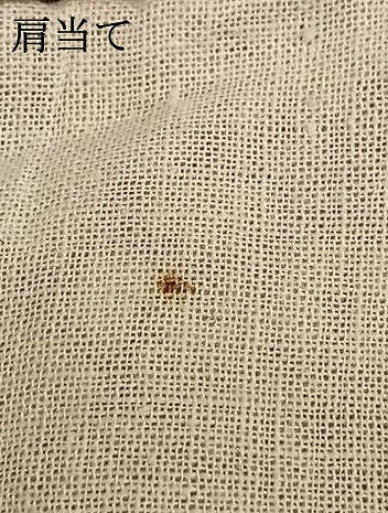 平和屋着物▽小紋　単衣　型染め　風景文　綿　AABB2401fy