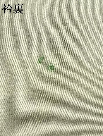 平和屋着物▽上質な紬 単衣 花間道 正絹 逸品 AABB2409fy