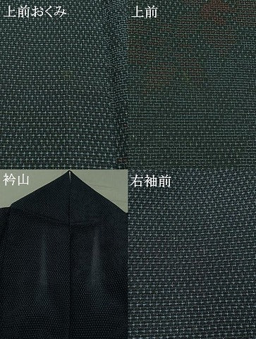 平和屋着物▽本塩沢 単衣 110亀甲 草花文 正絹 逸品 AABB2449jh
