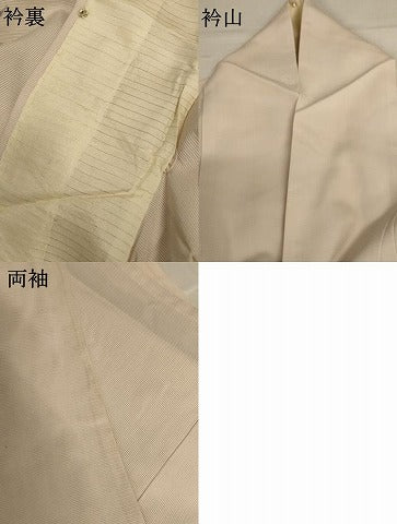 平和屋着物＊夏物 訪問着 絽 手描き 花鳥文 正絹 逸品 AABB2512jd