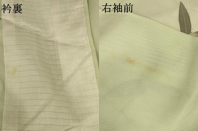 平和屋着物＊夏物 訪問着 絽 枝葉文 暈し染め 正絹 逸品 AABB2516jd